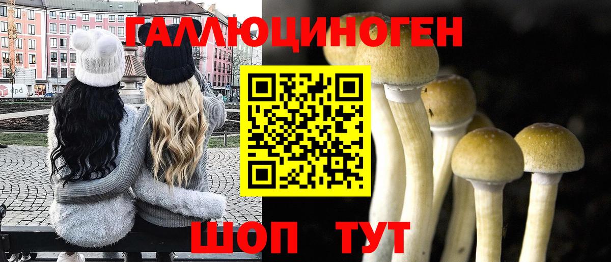 Шахты  Псилоцибиновые грибы прущие грибы  сколько стоит  Псилоцибиновые грибы ЛСД  Вход с VPN 